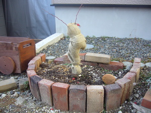 20071125-06.JPG