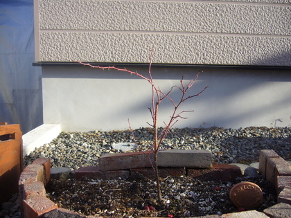 20080323-00.JPG