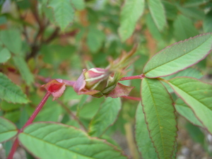 20080614-00.JPG