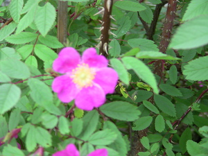 20100701-02.JPG