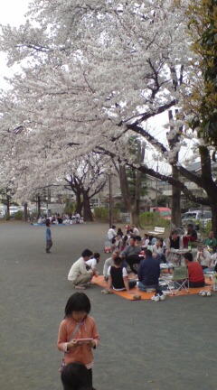 20070401142813.jpg