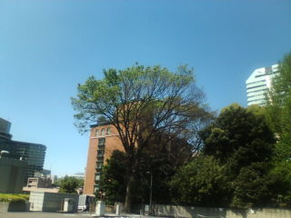 20090415123108.jpg
