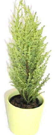 20081126-06.jpg