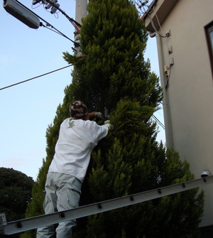 20081126-08.JPG