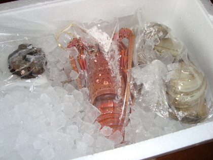 20090118-00.JPG