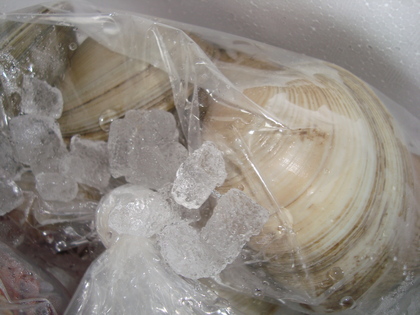 20090118-03.JPG