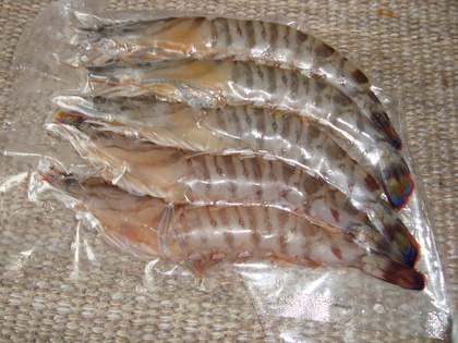 20090118-04.JPG