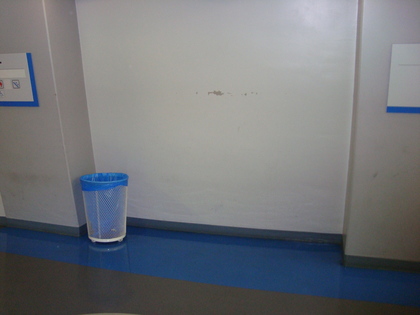 20090404-07.JPG