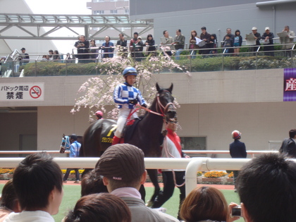 20090405-01.JPG