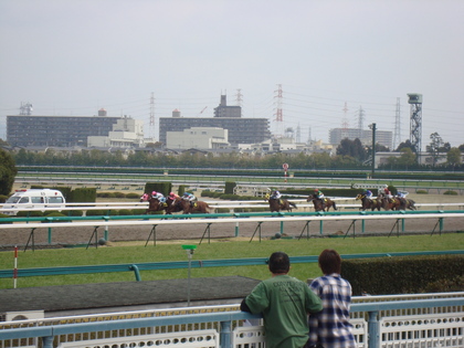 20090405-02.JPG