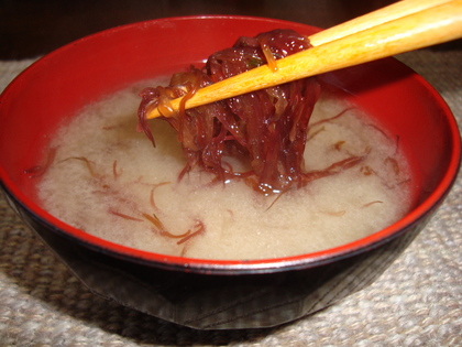 20090425-03.JPG