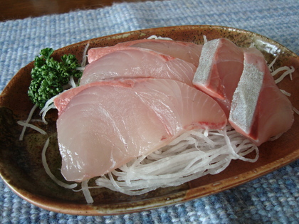 20090428-01.JPG