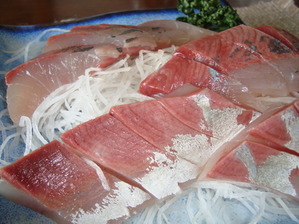 20090501-01.JPG