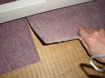 20090519-04.JPG
