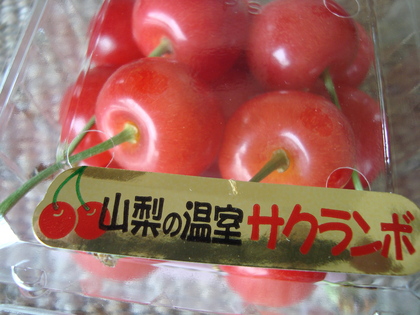 20090526-00.JPG