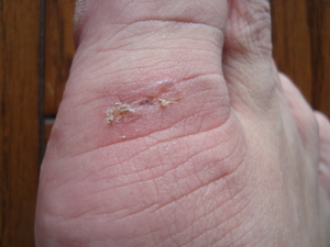 20090612-07.JPG