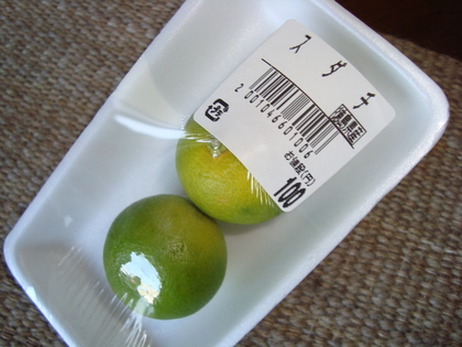 20090613-01.JPG