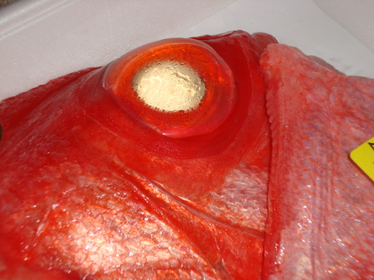 20090619-07.JPG