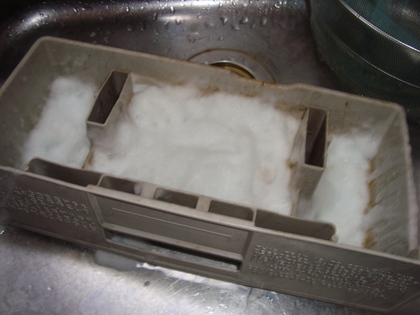 20090727-04.JPG