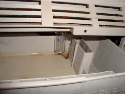 20090727-06.JPG