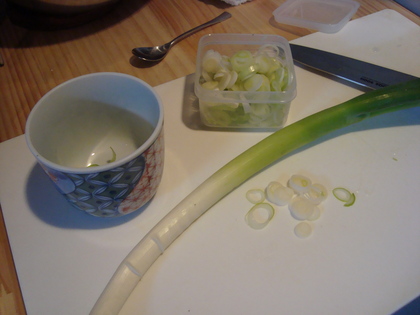 20090729-01.JPG