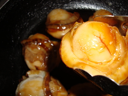 20090912-01.JPG