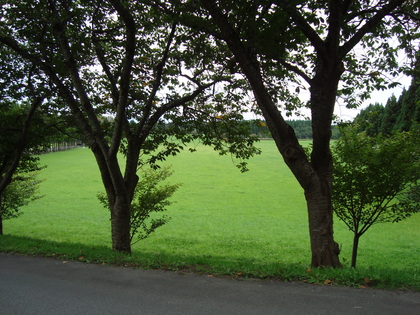 20090923-06.JPG