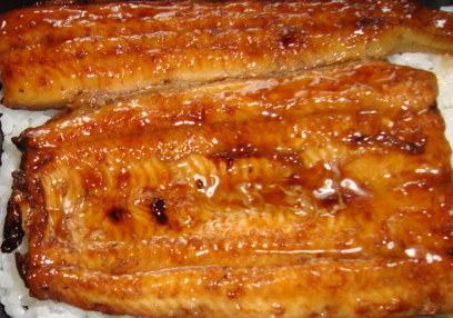20091103-02.JPG