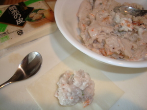 20091109-03.JPG