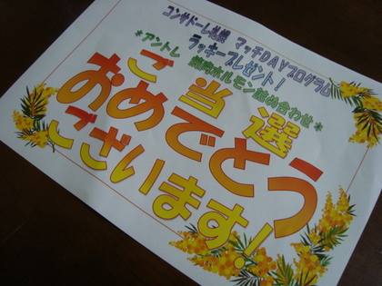 20091114-01.JPG
