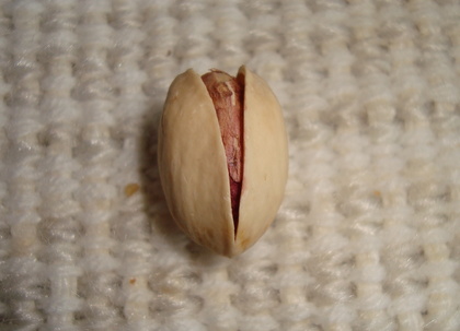 20091118-01.JPG