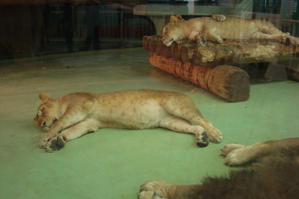 20091121-01.JPG