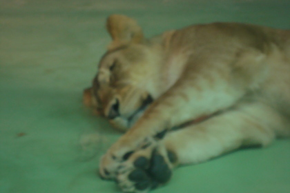 20091121-03.JPG