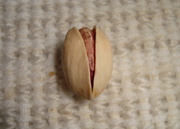 20091123-00.JPG