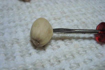 20091123-02.JPG