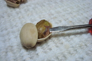 20091123-03.JPG