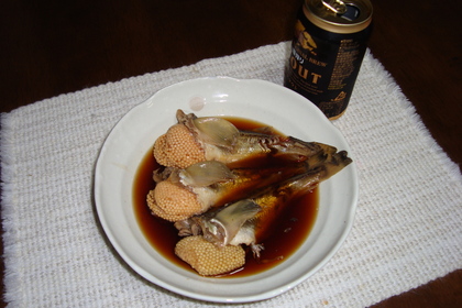 20091125-02.JPG