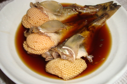 20091125-03.JPG