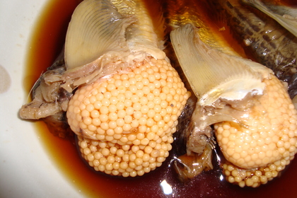 20091125-04.JPG