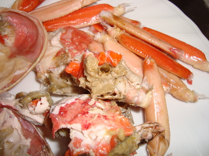 20091204-02.JPG