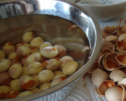 20091217-04.JPG