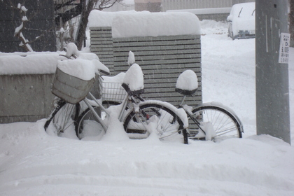 20091221-04.JPG