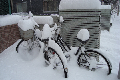 20091221-05.JPG