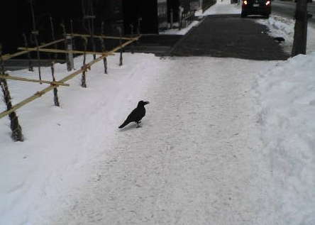 20091224-01.jpg