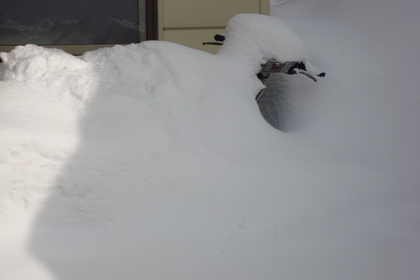 20100217-01.JPG
