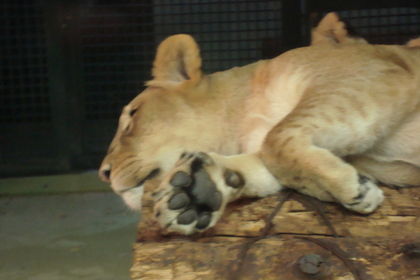 20100222-01.jpg
