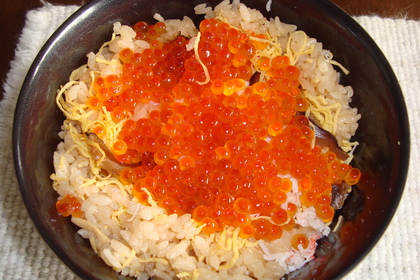 20100225-03.JPG