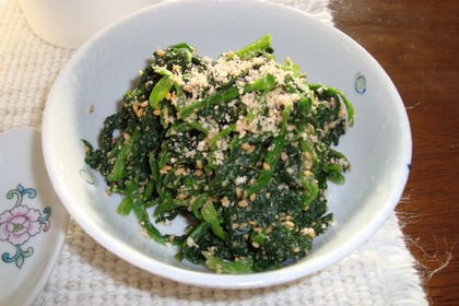 20100227-02.JPG