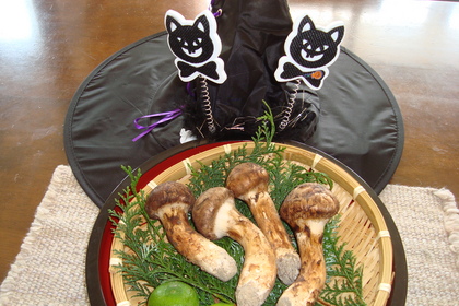 ハロウィンには松茸？