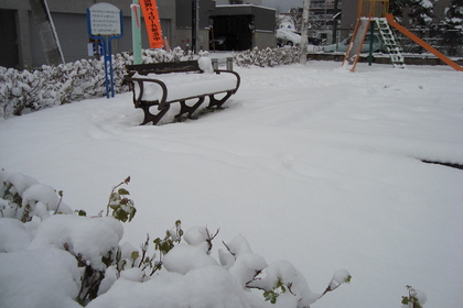 雪がベンチに座る